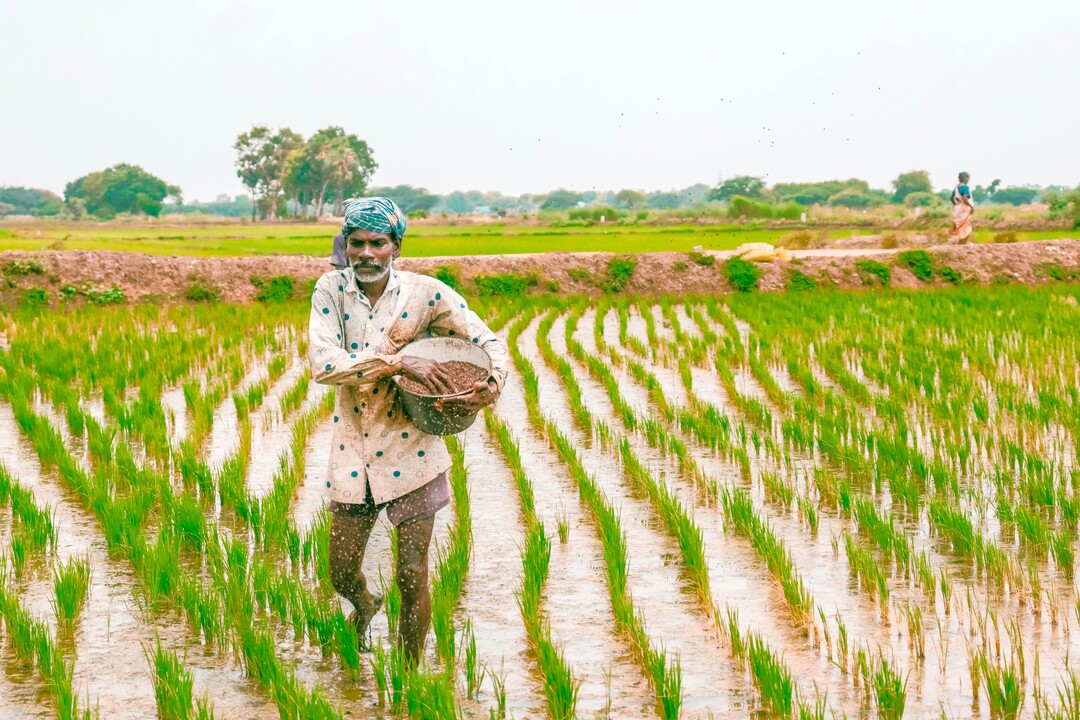 Agriculture