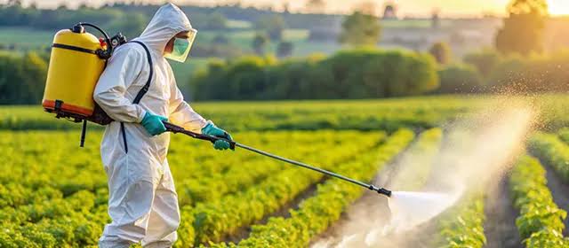 Pesticides & Insecticides