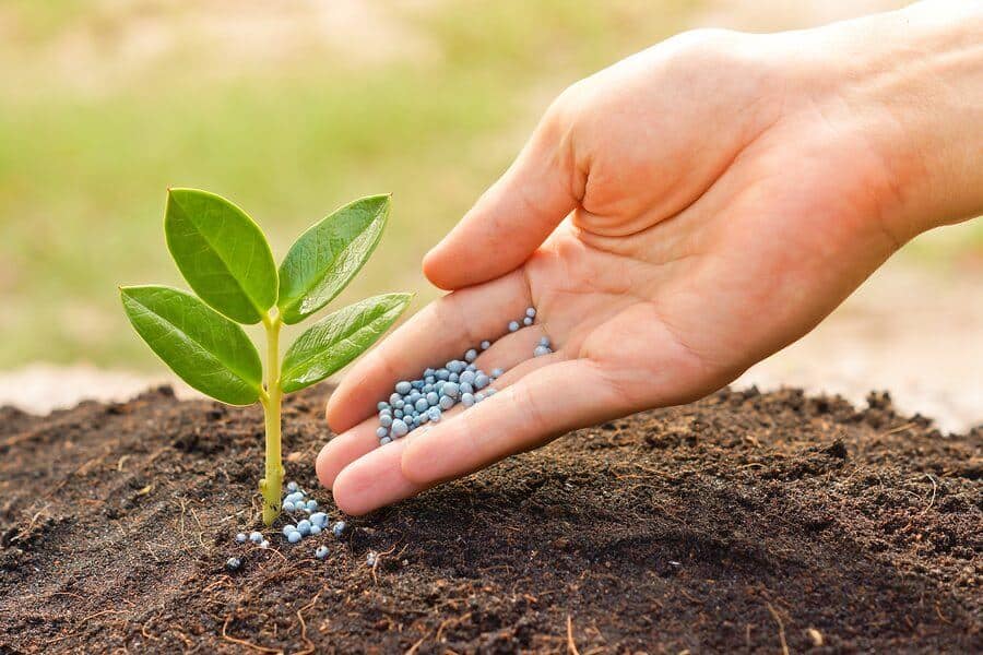 Soil Additives & Fertilizers