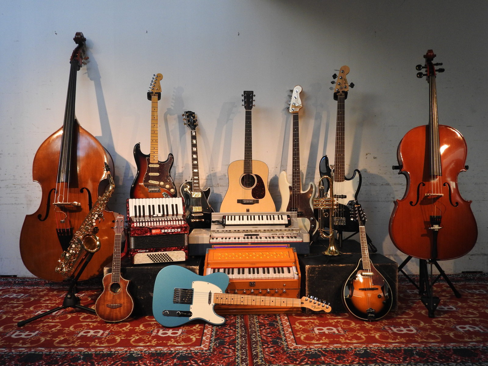 Musical Instruments & Accessories