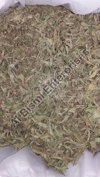 Organic Dried Stevia Leaves