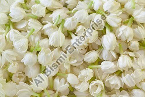 Dried Jasmine Flowers Color White