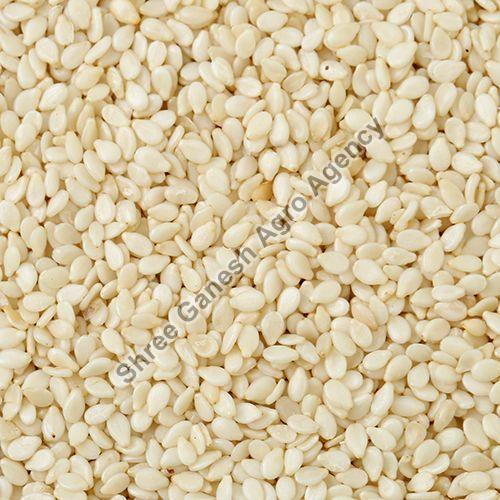 White Natural Sesame Seeds, Style : Dried, Packaging Type : Plastic Packet