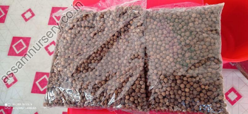 White Sandalwood Seeds