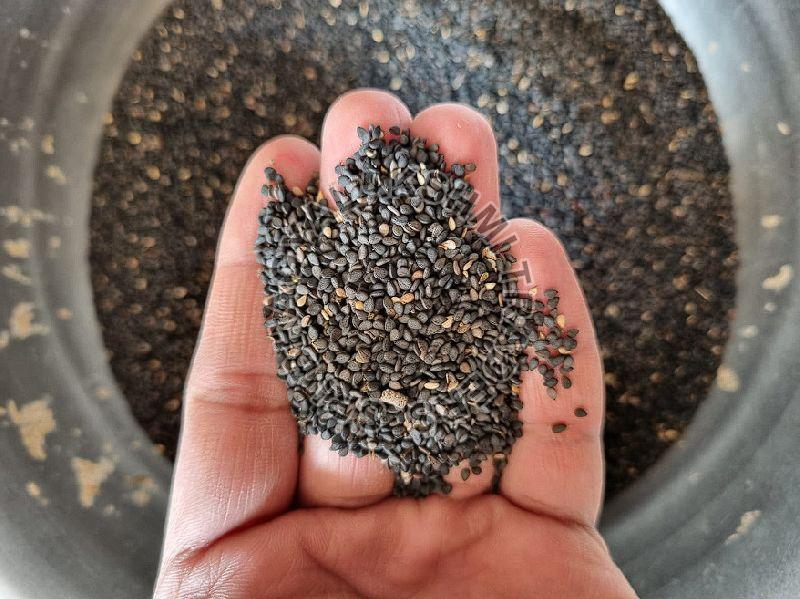 Black Sesame Seeds, Packaging Type : Jut Bag, Packaging Size : 50kg