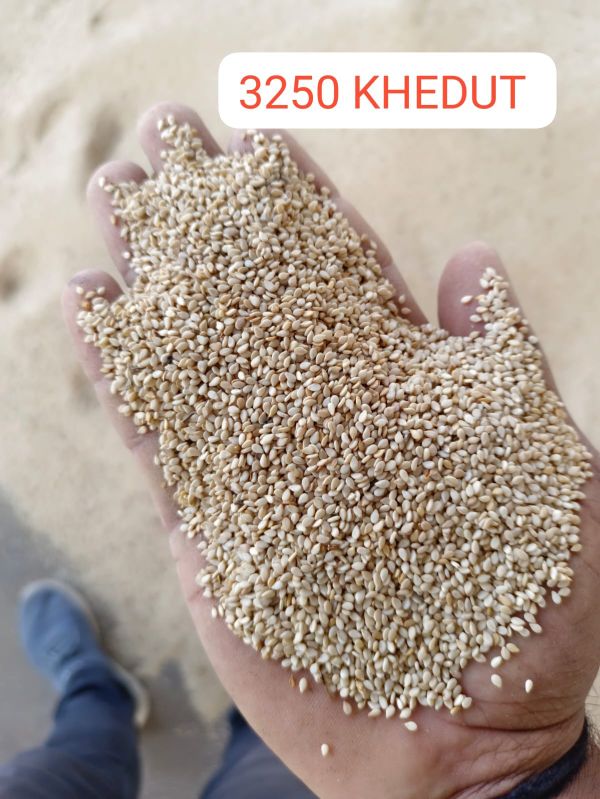 Natural White Sesame Beej, For Oil