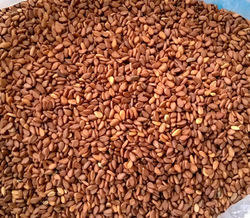 Natural White Sesame Seeds, Purity : 100%, Packaging Type : Pp Bag