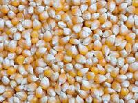 Cattle Feed Raw Material, Packaging Type : PP Bags