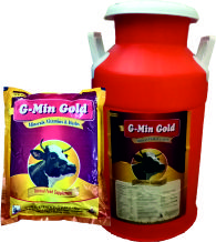 Medicinal Tea Herbal Feed Supplements, Form : Powder