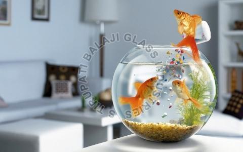 Glass Fish Pot, For Home, Hotel, Office, Color : Transparent