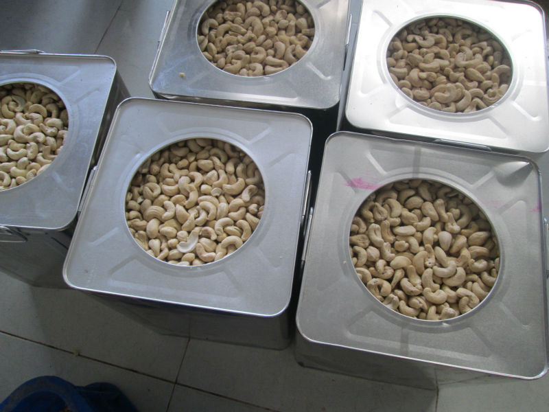 Finished Cashew Nuts, Packaging Type : 20ft FCL
