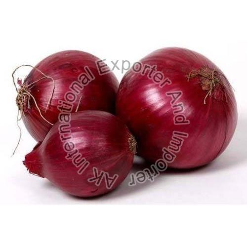 Organic Fresh Onion, Packaging Type : Plastic Packet, Color : Red