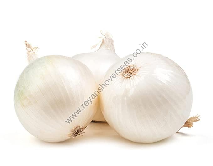 Organic Fresh White Onion, For Cooking, Fast Food, Snacks, Size : Small