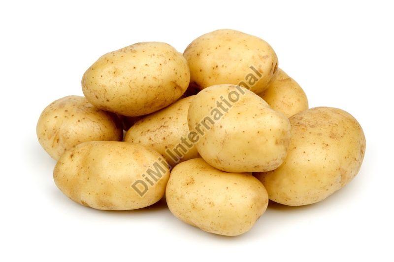 Natural Fresh Potato, For Cooking, Packaging Type : Net Bag
