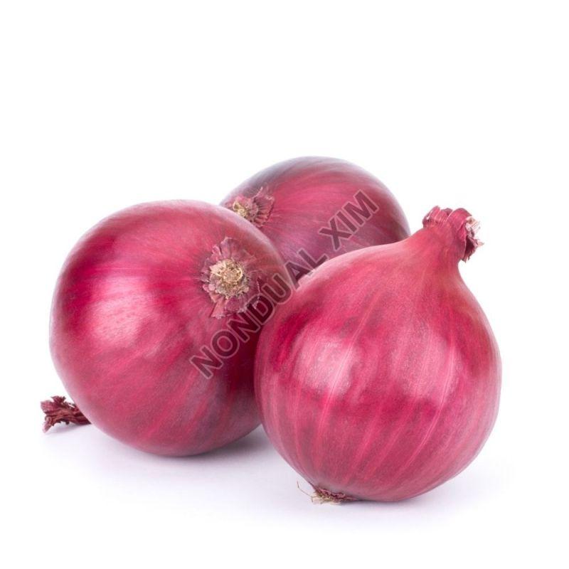 Common Red Onion, For Cooking, Feature : Hygienically Packed