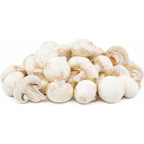 Organic Button Mushroom, Color : White
