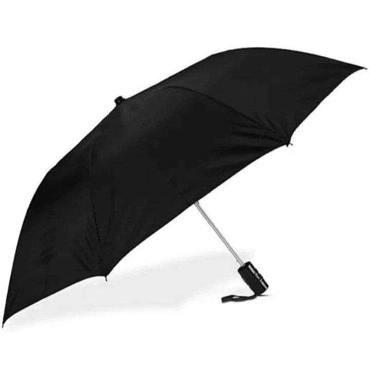 Stainless Steel Umbrella 2 Fold