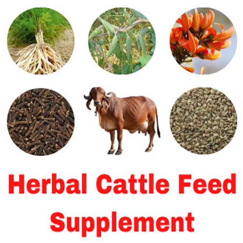 Herbal Feed Supplements