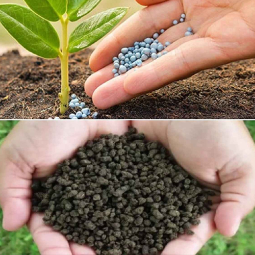 Biofertilizer