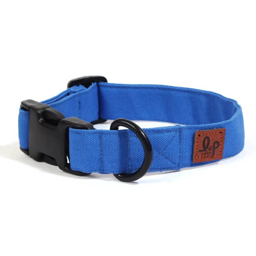 Dog Collars
