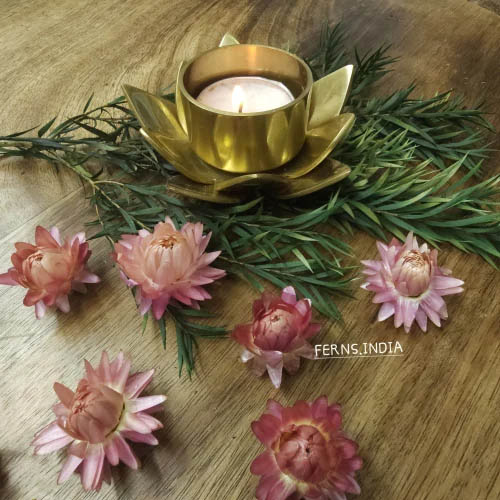 Exotic Dried Flowers