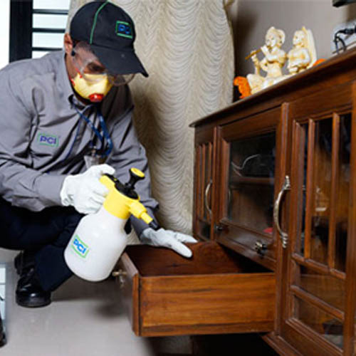 Woodborer Management Service