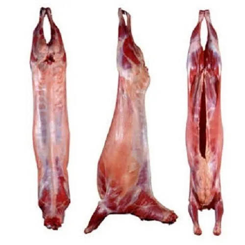 Frozen Goat Meat